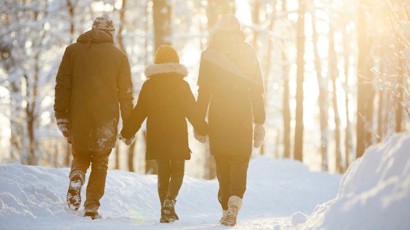 Back view portrait of happy family holding hands enjoying walk in winter forest lit by sunlight, copy space
