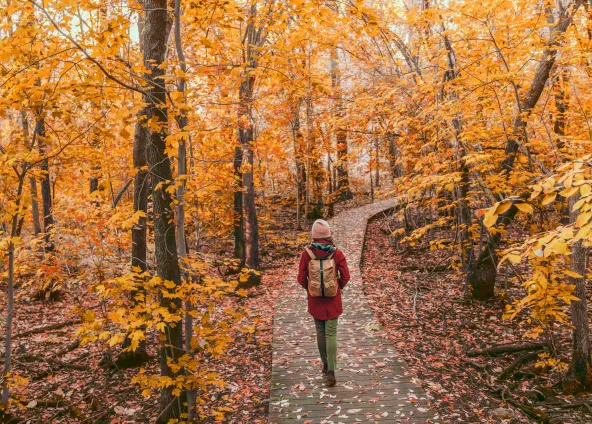 Herbsturlaub im Ferienhaus