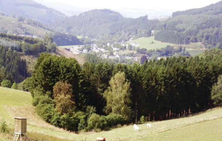 Sauerland