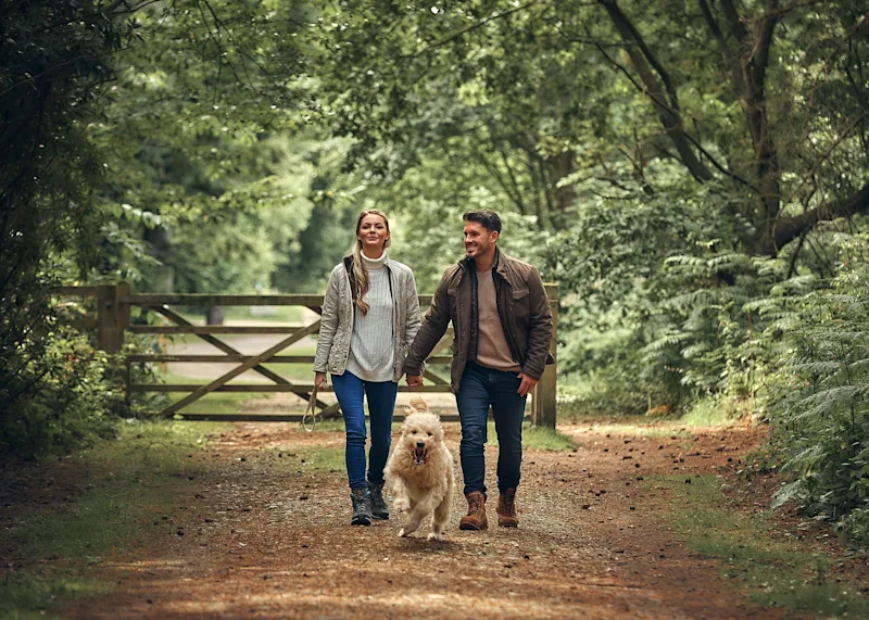 A couple walking their dog outside Griffon Forest (GRIF) in Flaxton, York, Vale of York, Yorkshire, England, UK