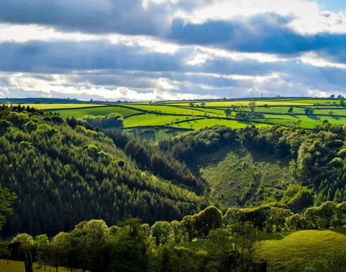 Rolling hills in the countryside in Liskeard, Cornwall, England