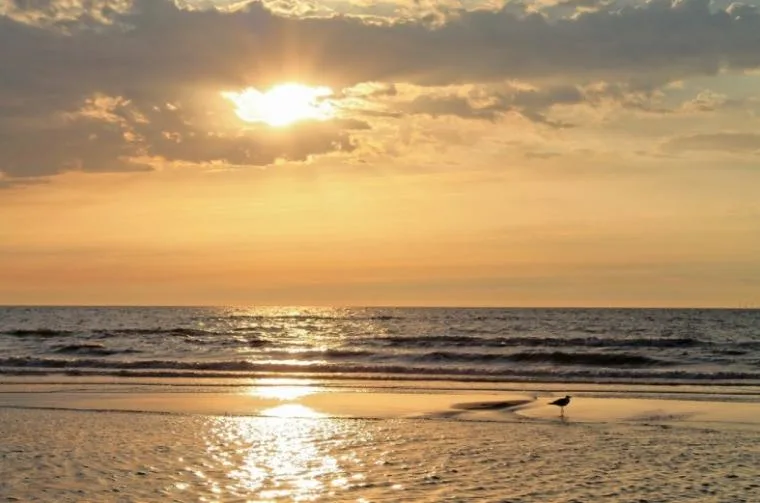 Hou vakantie in een vakantiehuis in Katwijk aan de kust