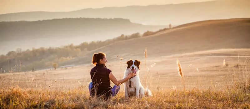 Kurzurlaub mit Hund