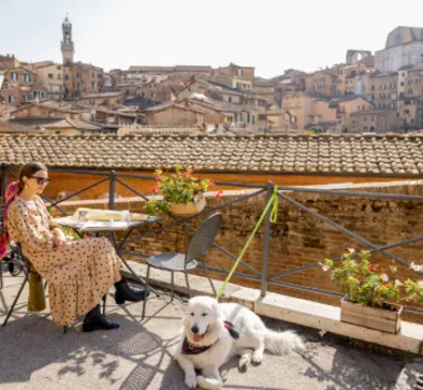 Minisemester med hund