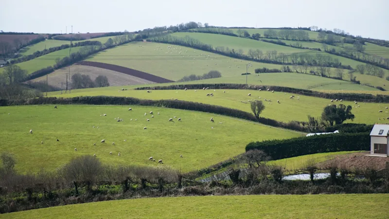 Devon countryside