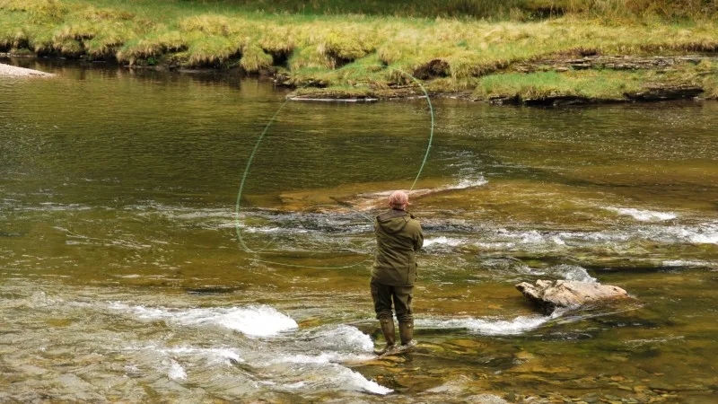 salmon fishing
