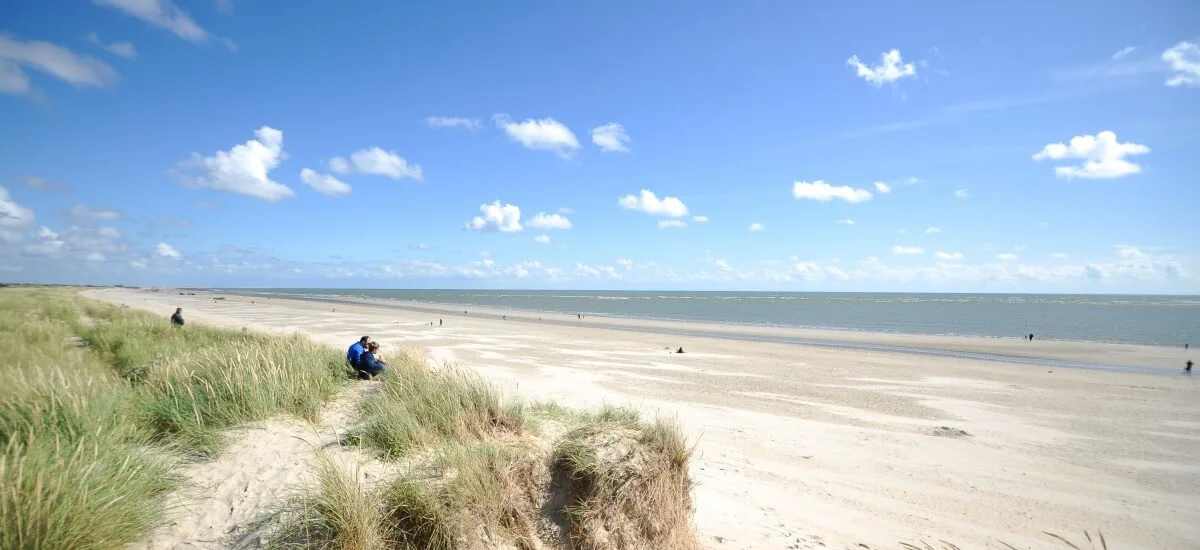 Udsigt over Blåvand Strand set fra klitterne, som du kan dase i, når du lejer sommerhus hos Novasol