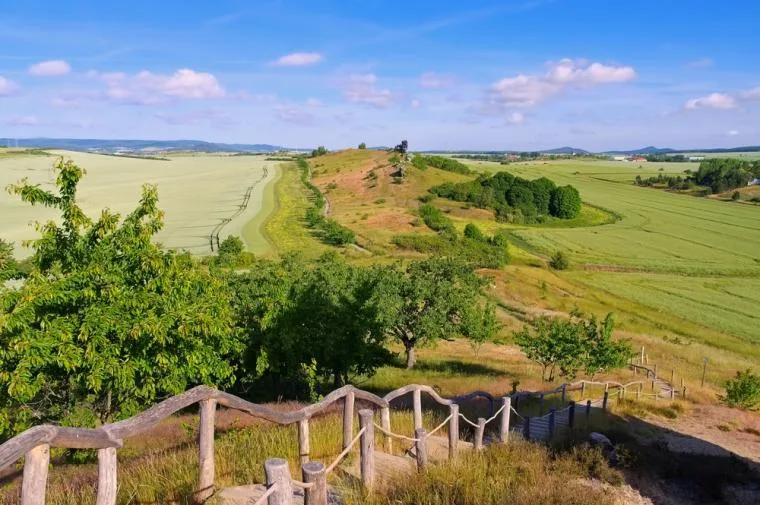 Landschap van Thale 