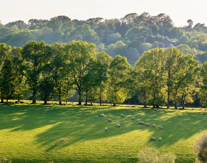 View of countryside in the High Weald AONB