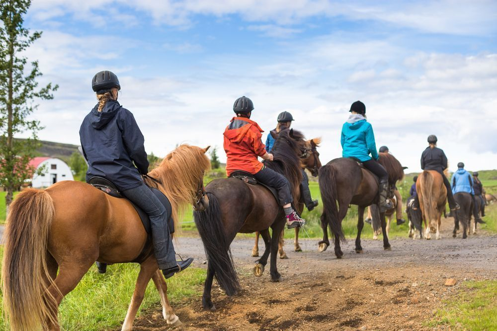 Ridetur på islandske heste i Sverige