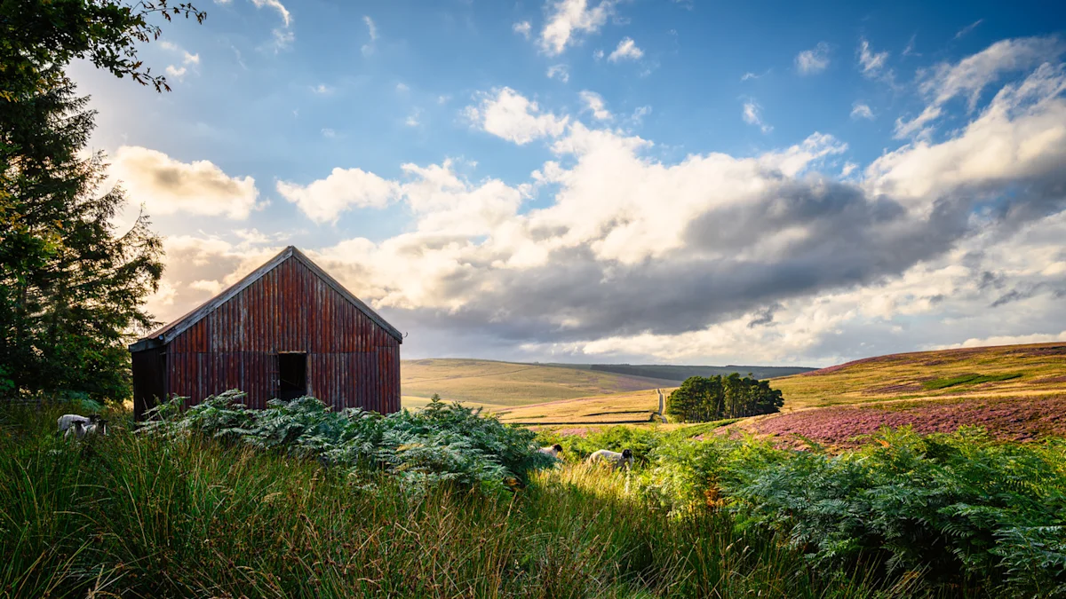 Otterburn cottages