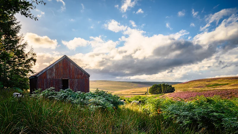 Otterburn countryside