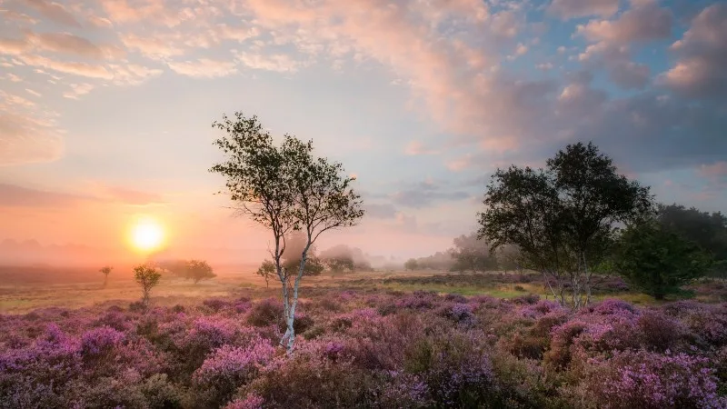 Last Minute Hot Tub Cottages in Suffolk