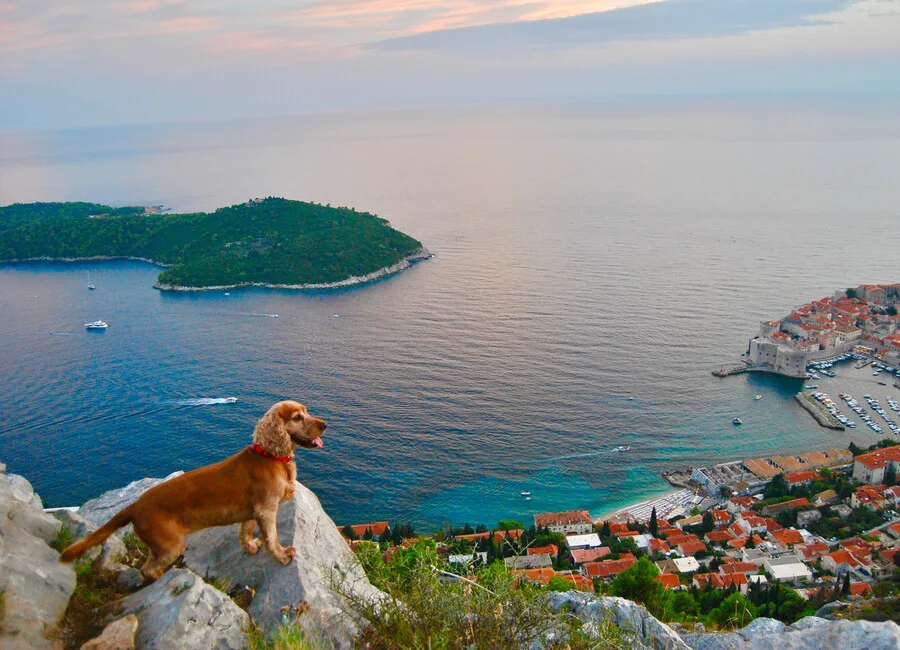 Wandelen met hond in Dalmatië