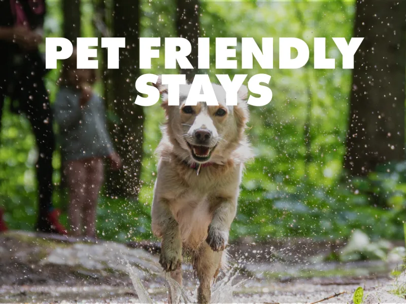 Pet Friendly Stays From £345*