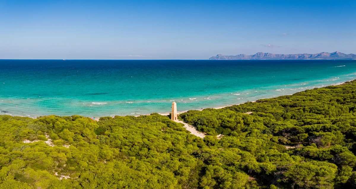 Blick auf das Meer, einen Wald und den Strand in Muro auf Mallorca. 