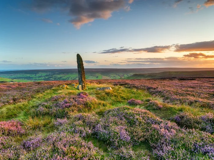 Sunset over purple heather in bloom at Little Blakey Howe