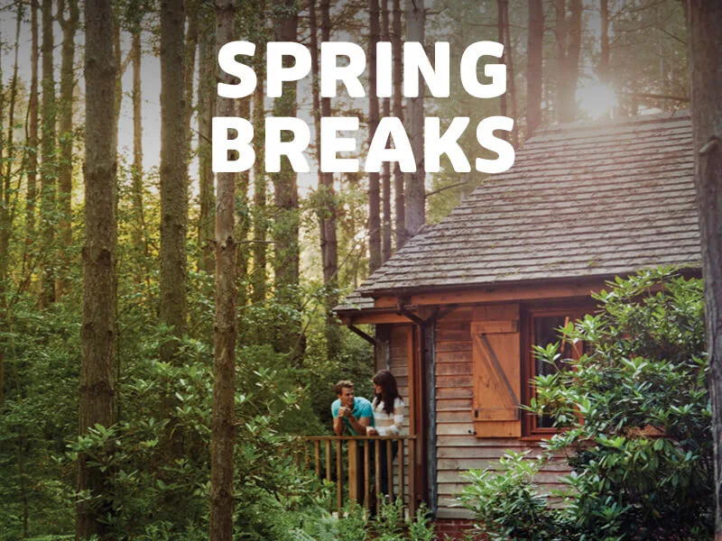 Up to 30% off spring breaks