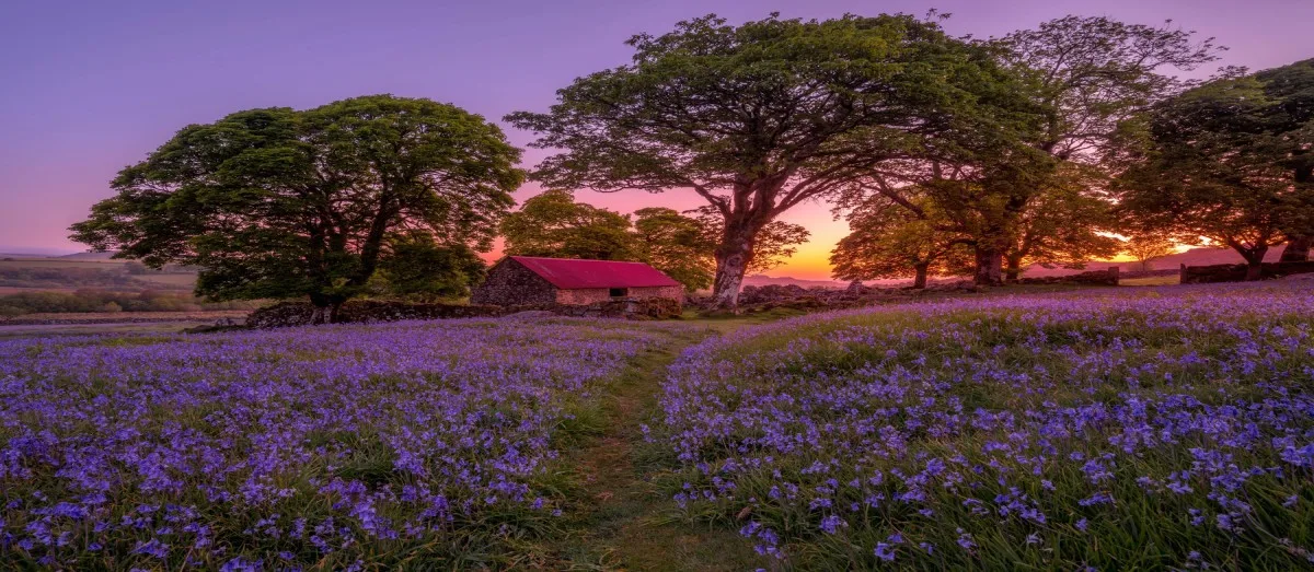 Dartmoor National Park