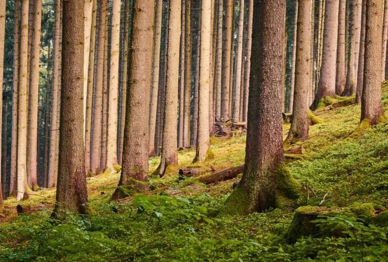 Natuur in Luxemburg