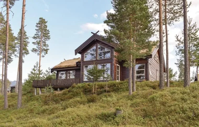 vakantiehuis in Telemark