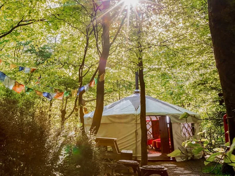 Glamping Holidays & Breaks