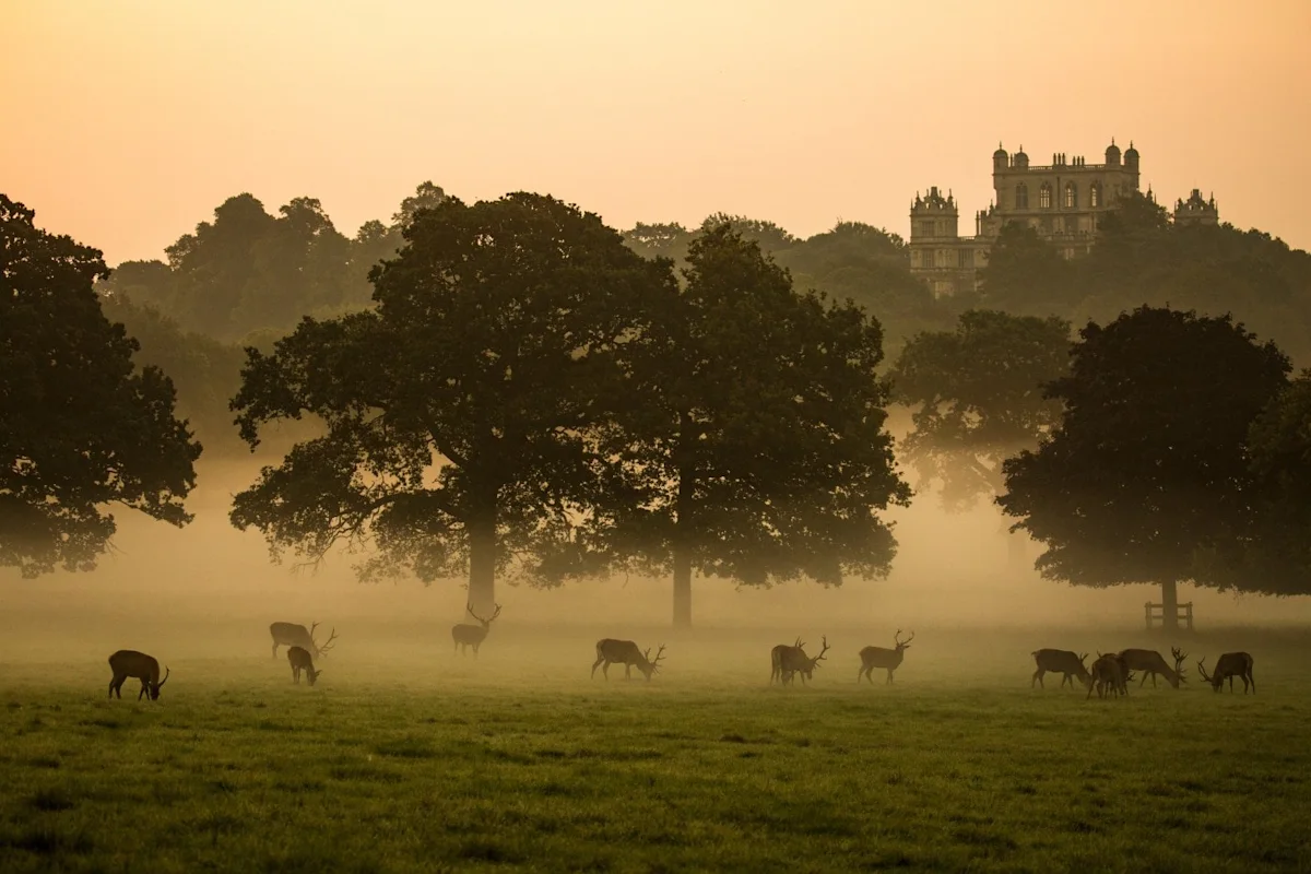 Cottages in Nottinghamshire