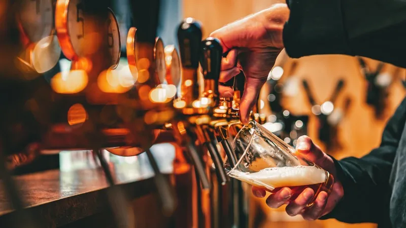 Snowdonia Cottages near a Pub