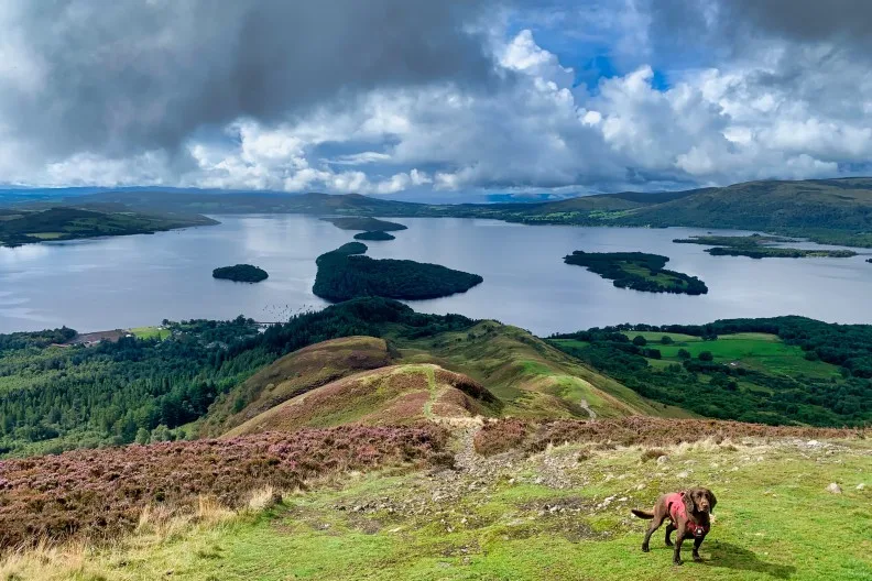 A dog walk up Conic Hill, near Balmaha, Loch Lomond & The Trossachs National Park, Scotland, UK