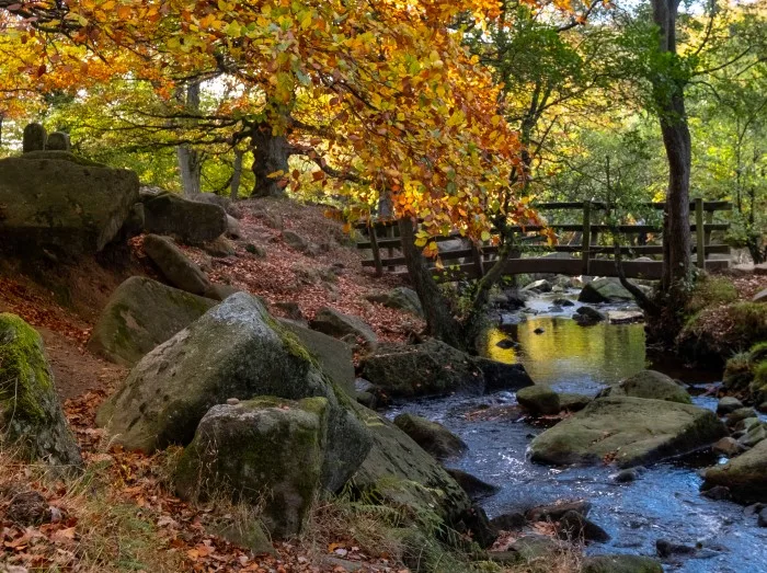 Bridge in Padley Gorge woodland in autumn, beautiful colours of the Peak District