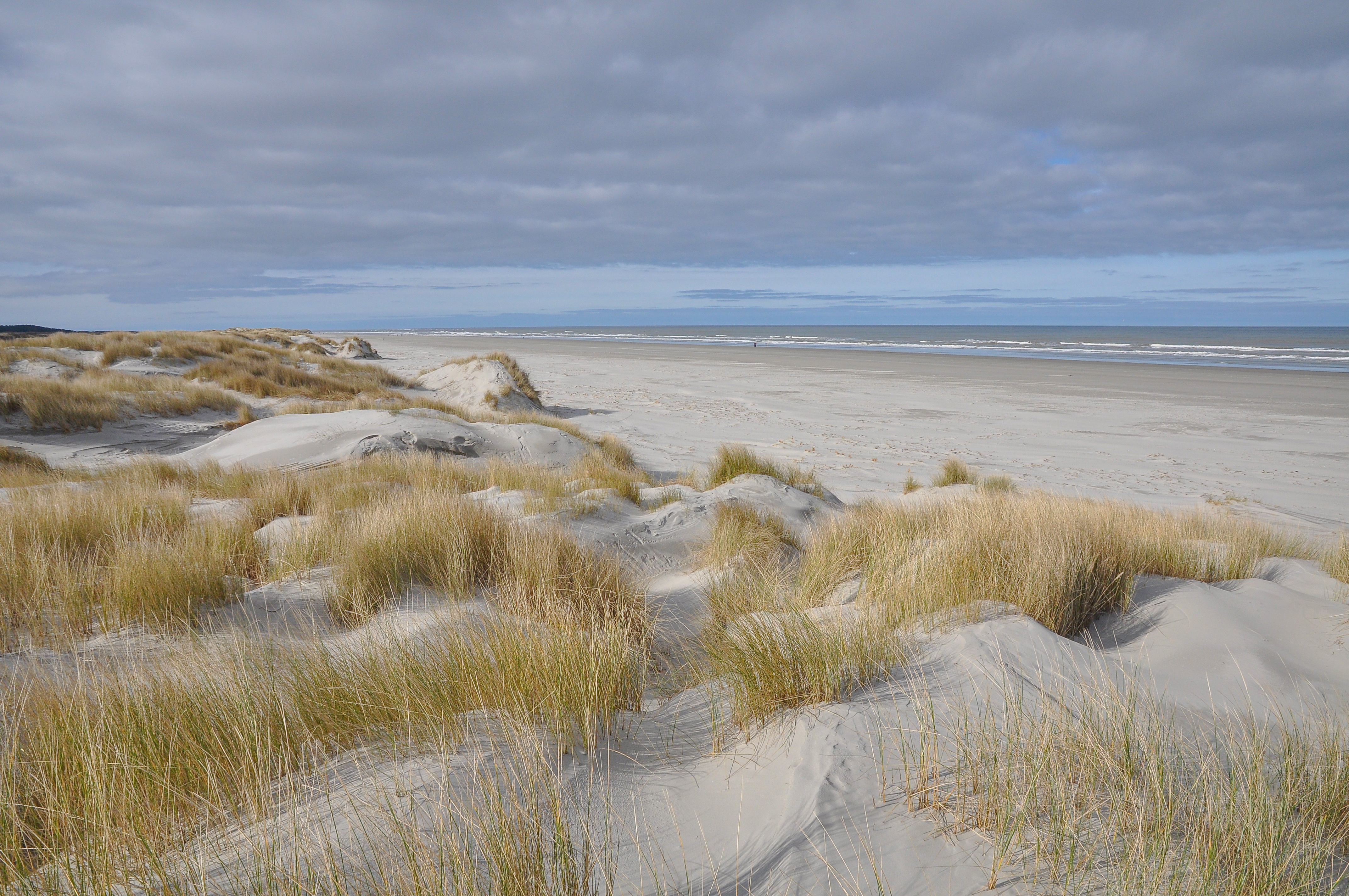 Dünen und Strand in Friesland in den Niederlanden.