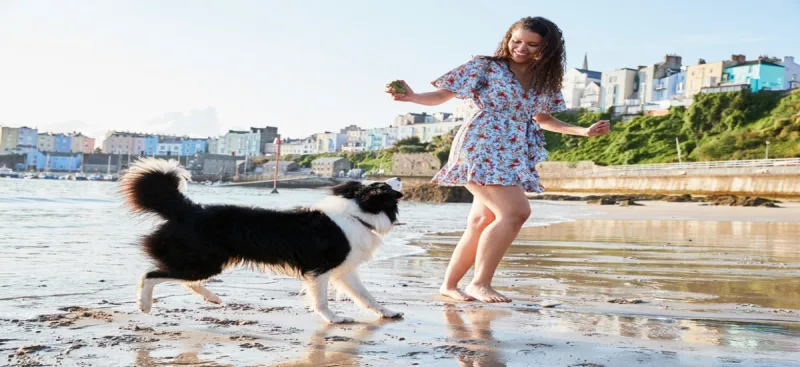 Dog friendly holiday cottages in Cornwall