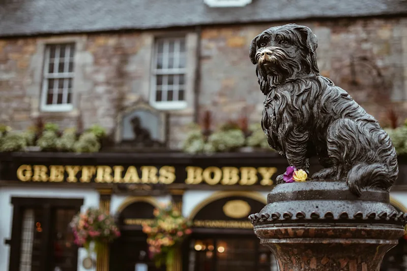 Dog Friendly Cottages in Scotland