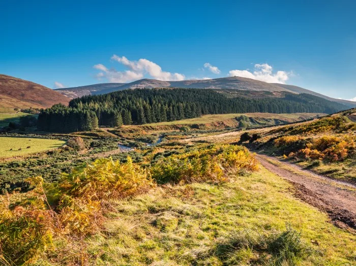 College Valley and The Cheviot, from which the hill range takes its name, is the highest point in Northumberland