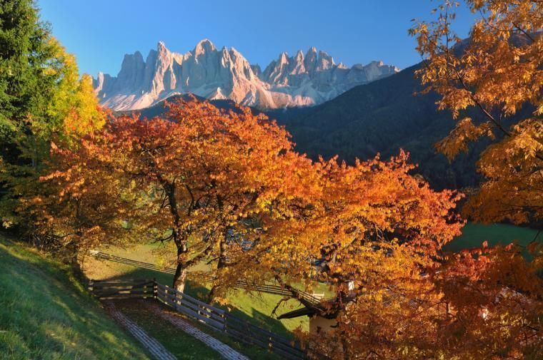Naturopplevelser i Aostadalen