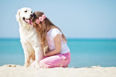 Urlaub mit Hund am Meer