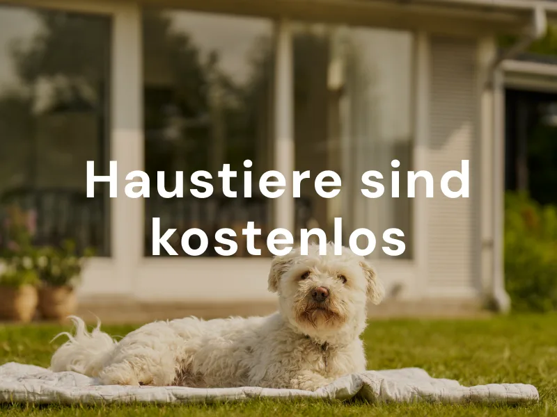 Haustierfreundliche Unterkünfte erkunden