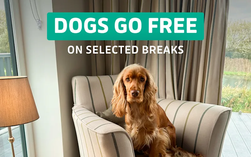 Family playing in the water with their dog at Ribblesdale Lodges in Gisburn, Yorkshire Dales, UK