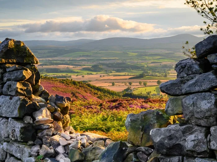 Ros Castle view looking west through Dry Stone Wall, also known as Ros Hill, due to an ancient prehistoric Hillfort on its summit, located near Chillingham in Northumberland