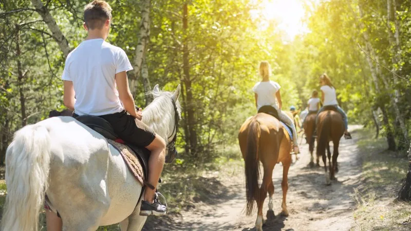 Group of teenagers on horseback riding in summer park