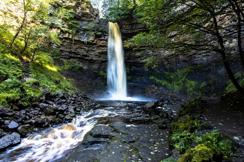 Hardraw Force