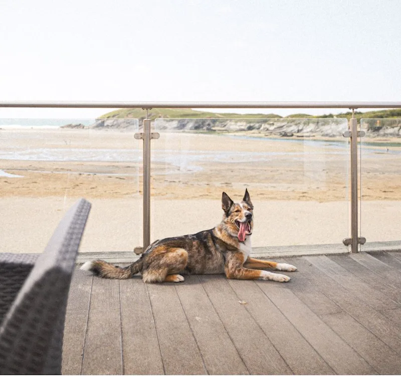 Dog-friendly coastal cottages