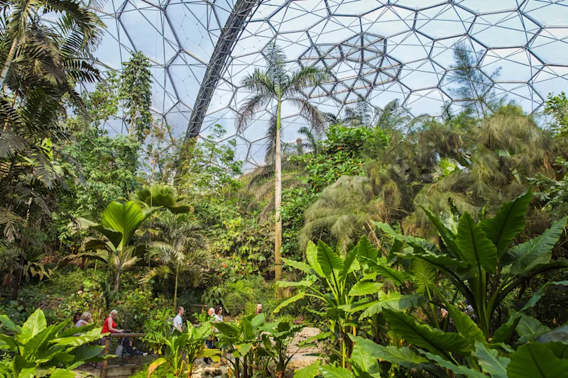 Inside the Eden Project