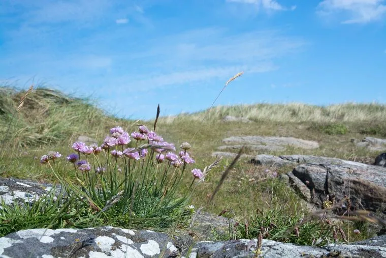 Vakantiehuis in Halland