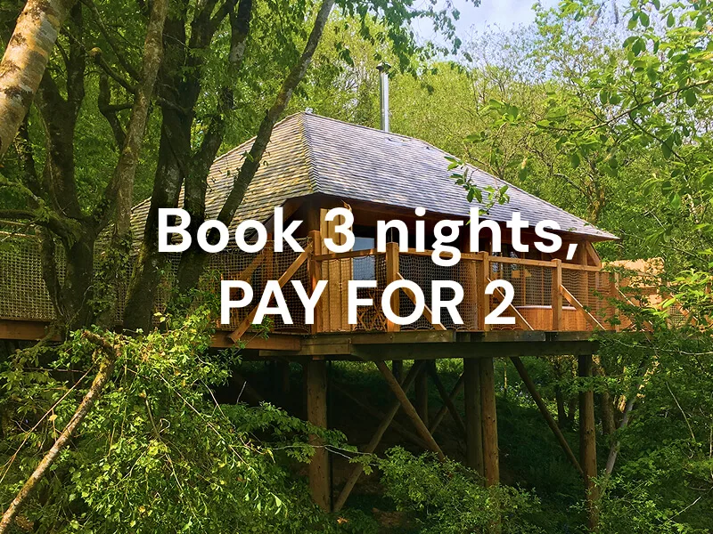 Make the most of the weekend!