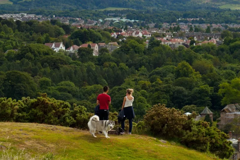 Views towards Edinburgh from Blackford Hill on a dog walk, Scotland, UK