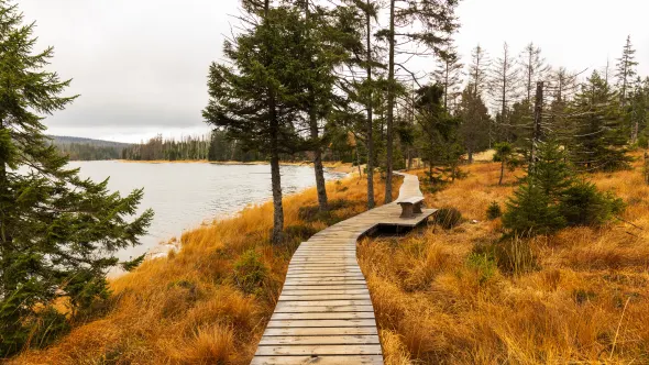 Herbstlandschaft mit Brücke und Wasser im Harz.