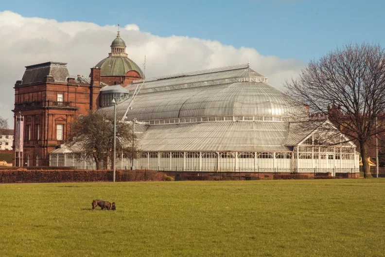 A dog walk on Glasgow Green, outside the People-s Palace, Glasgow city centre, Scotland, UK