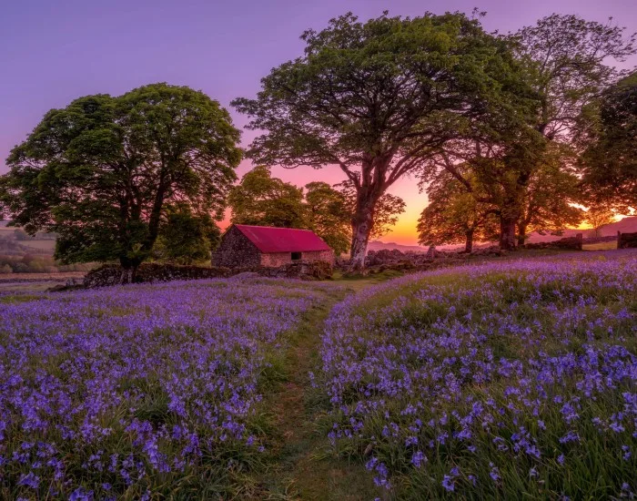 Dartmoor National Park