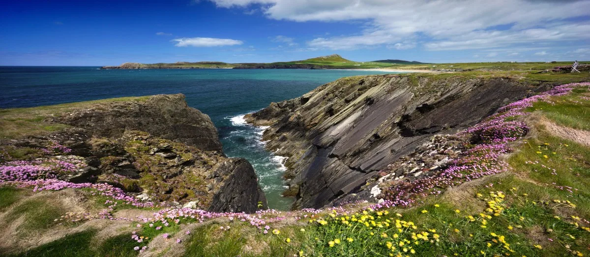 Pembrokeshire Coast Path near Whitesands Bay in St. Davids, Wales